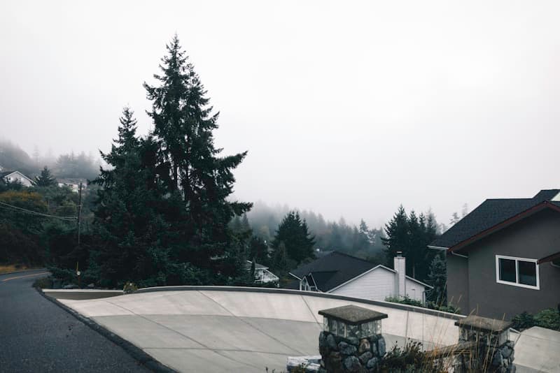 Pacific Northwest residential neighborhood with homes